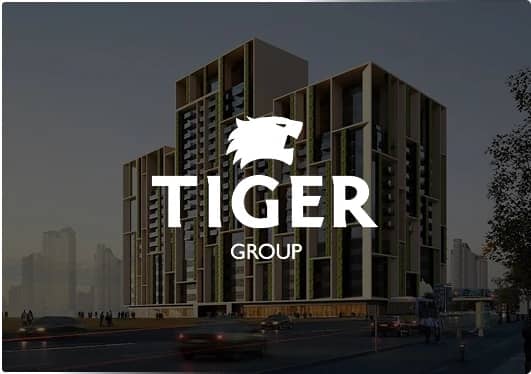 Tiger Group