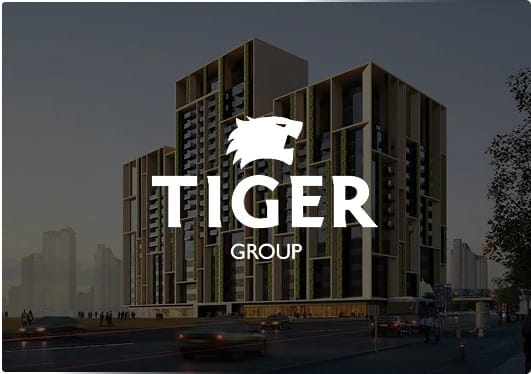 Tiger Group